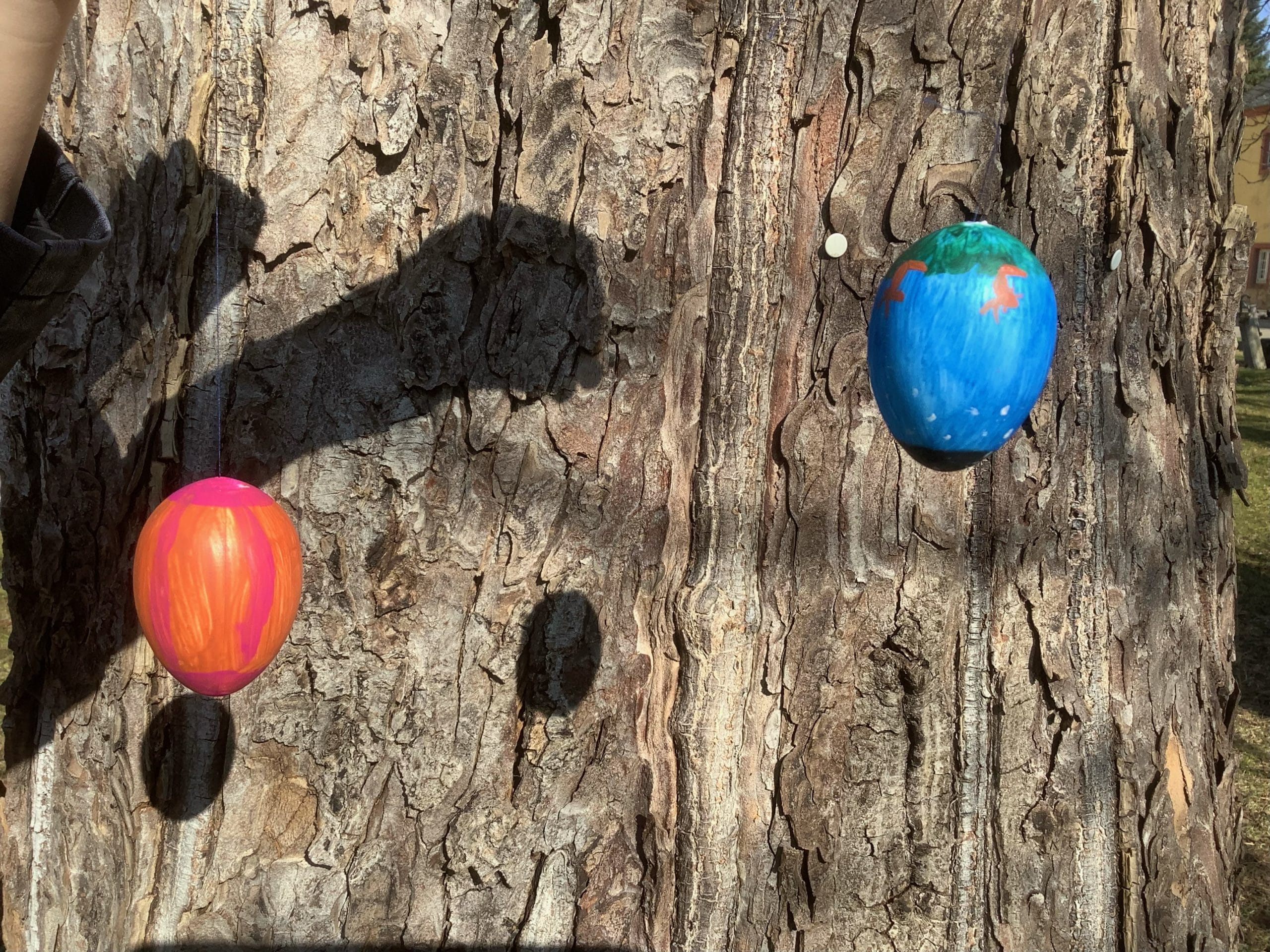 Frohe Ostern! HermannJosefKolleg